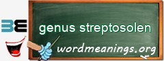 WordMeaning blackboard for genus streptosolen